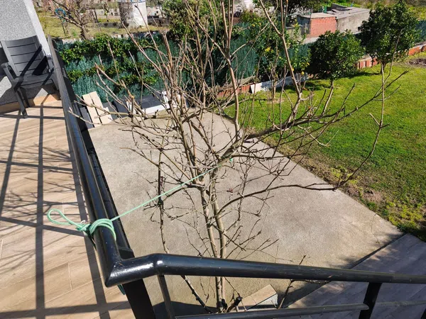 Chalet adosado en Avenida Pontevedra, 18, Cangas, Cangas - Foto 16