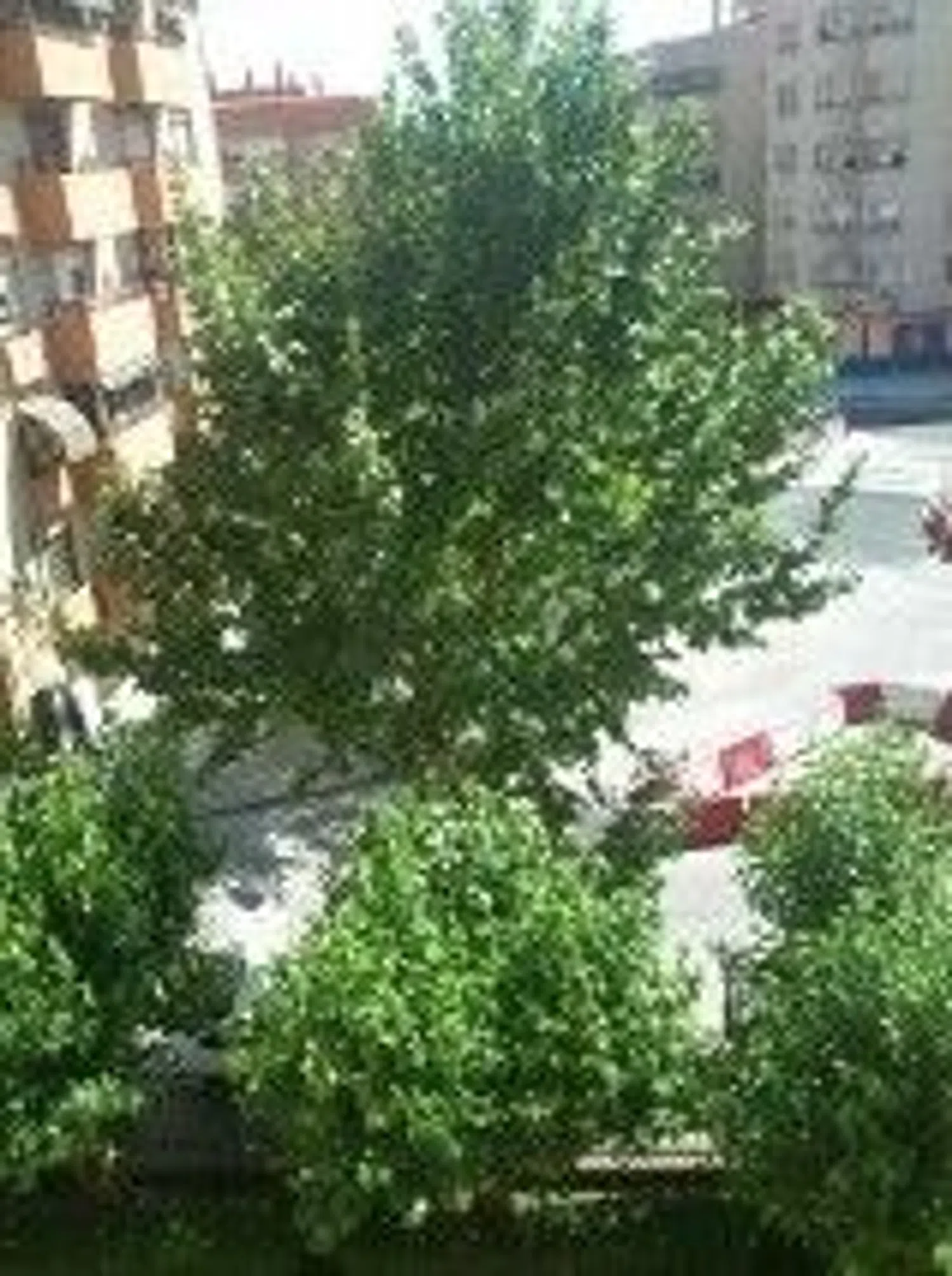 Piso en avenida de las fuerzas armadas, 12 - Foto 27