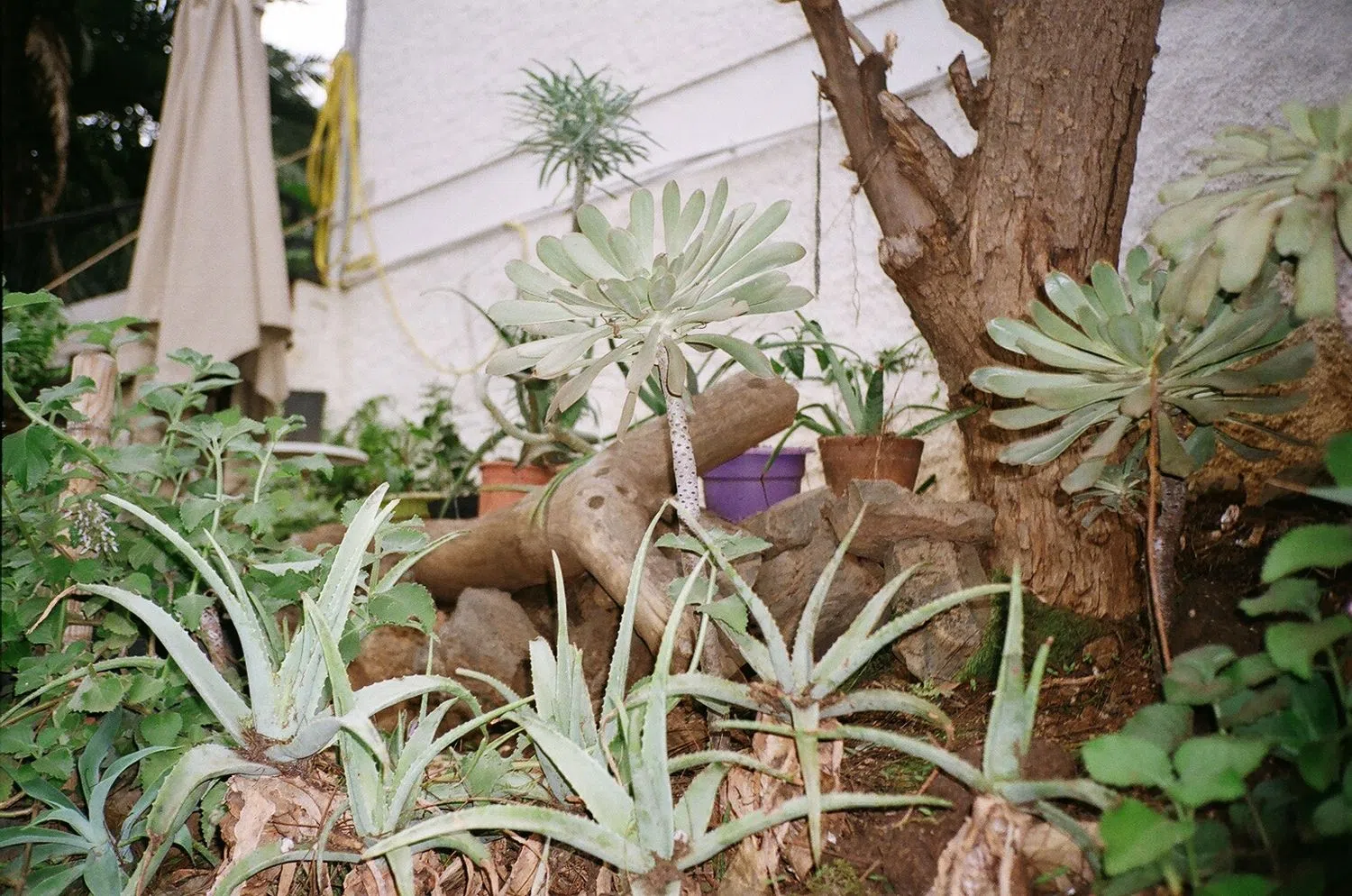 Piso en calle Bélgica, 2 - Foto 2