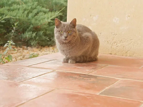 Casa independiente en calle Benimeli, 1 - Foto 33