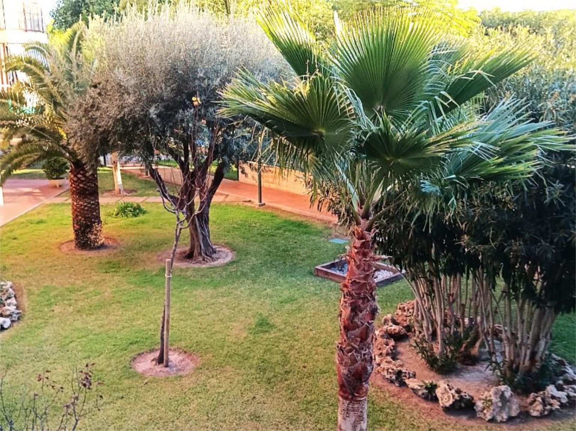 Piso en  Avinguda Ausiàs March 6 - Foto 8