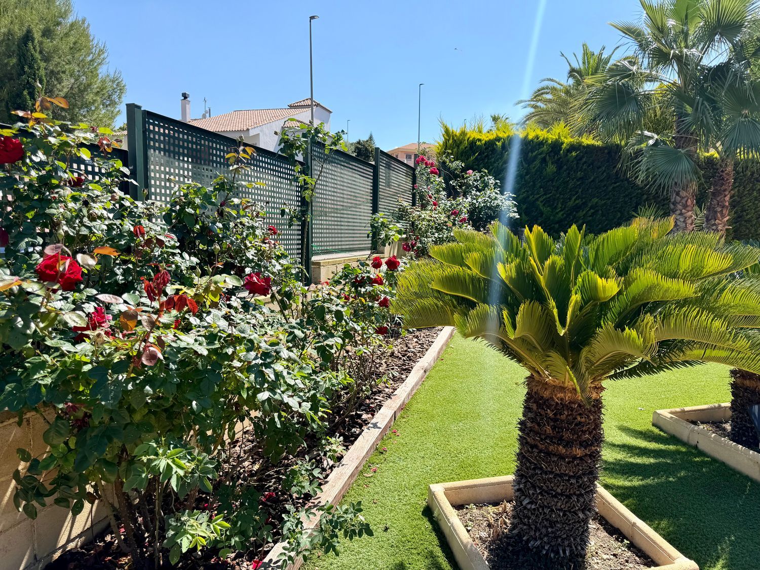 Casa o chalet independiente en Calle Ciervo, 10 - Foto 5