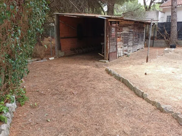 Casa o chalet independiente en Calle del Pinar, 114 - Foto 4