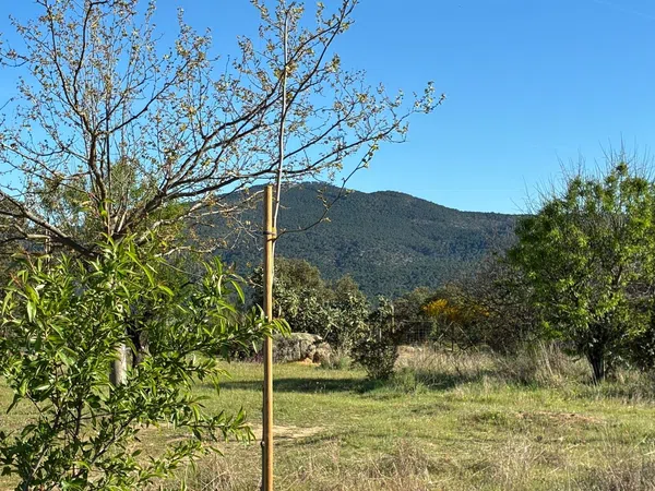 Casa rural en Camino de los Molinos s/n - Foto 5