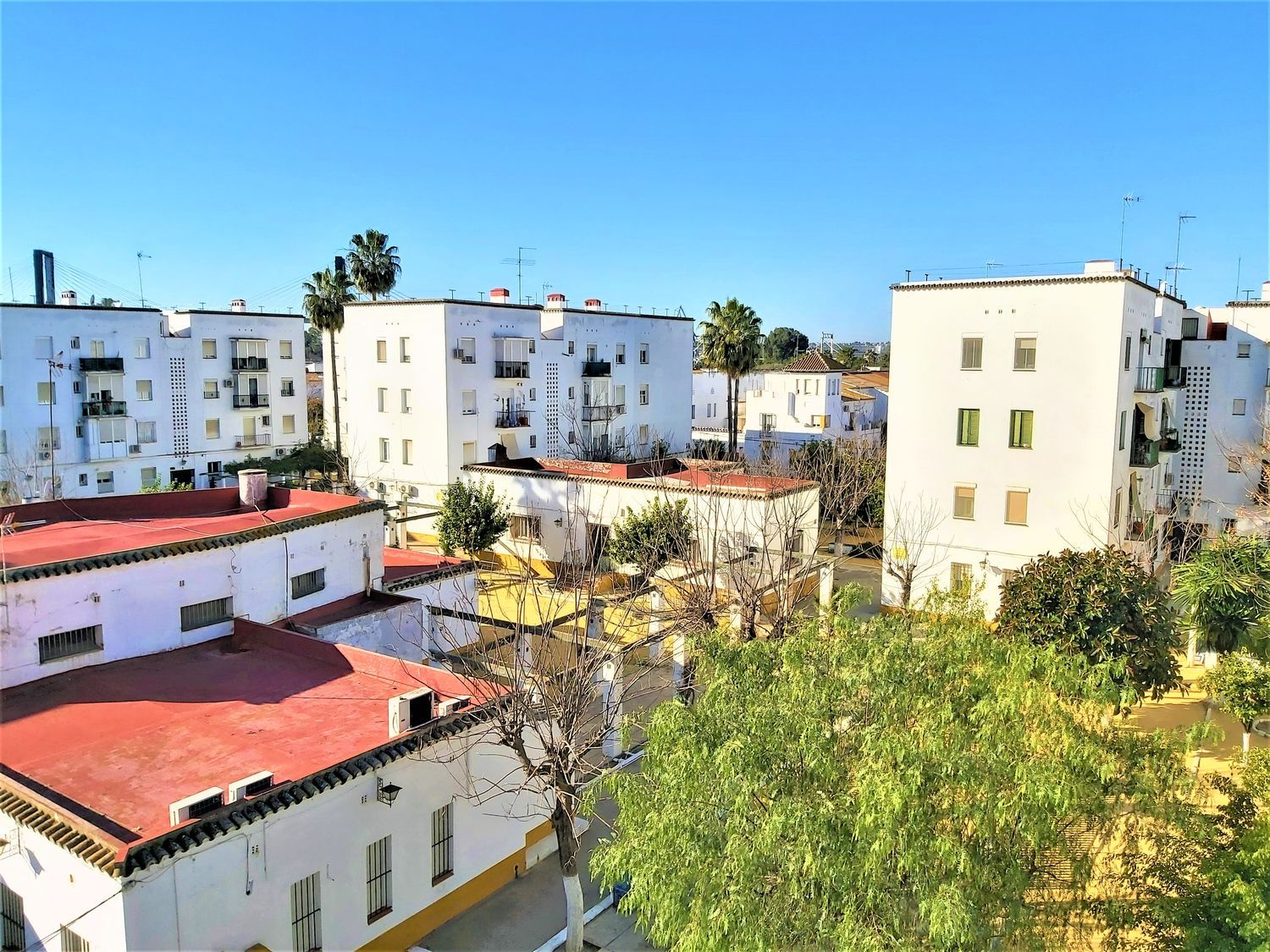 Piso en Avenida de la Reina Mercedes, 58, Reina Mercedes - Heliópolis - Foto 19
