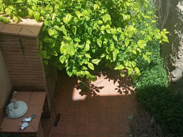 Casa de pueblo en Calle Barrio Verde s/n - Foto 28