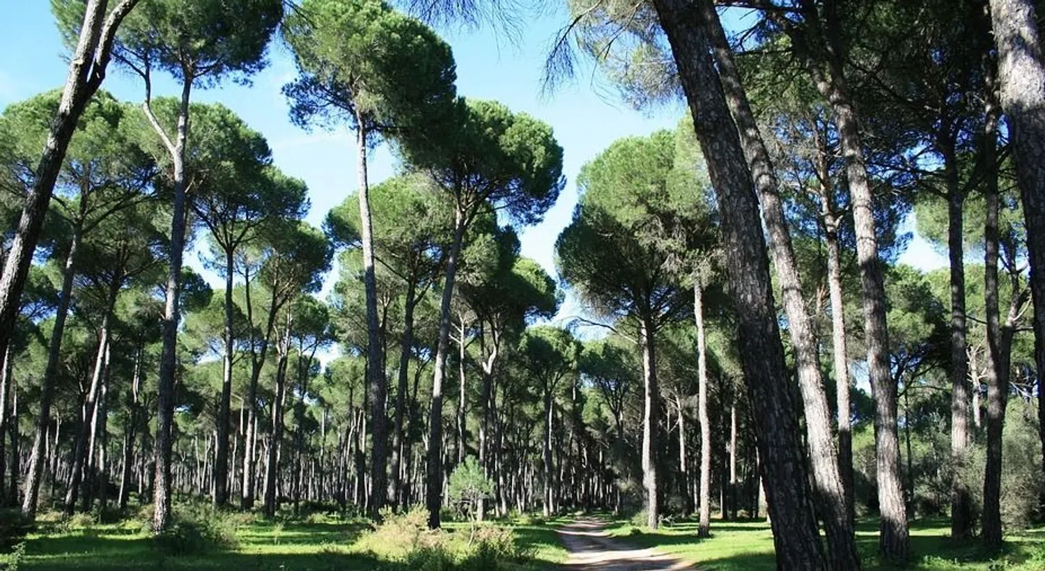 Piso en camino de las Cruces, 7 - Foto 5