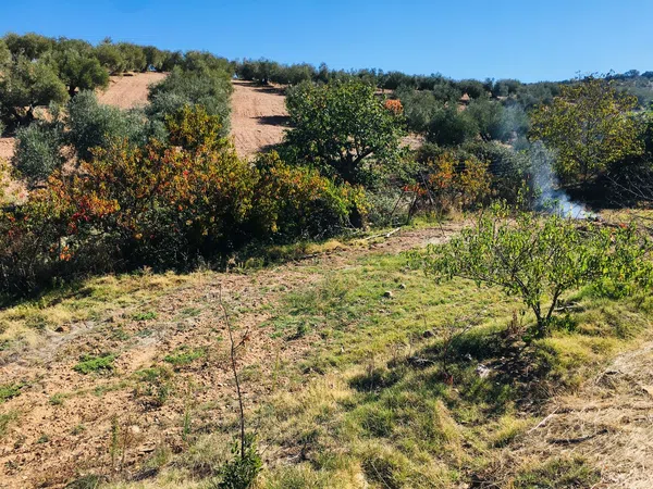 Finca rústica en Camino de las Alcobillas s/n - Foto 7