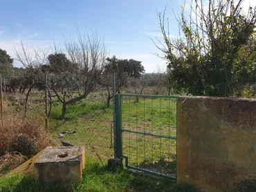 Finca rústica en  Urbanización las Encinas 12A - Foto 15