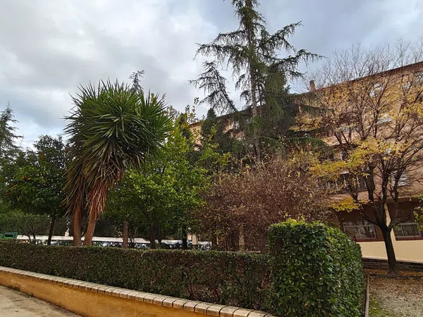 Piso en Avenida de Pulianas, 24, San Francisco Javier, San Francisco Javier - Foto 18