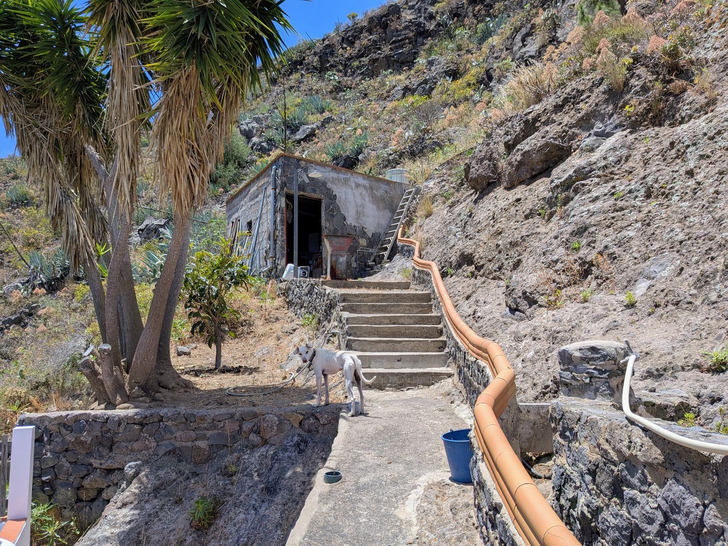 Finca rústica en Lugar el Hoyo, 24, Caserones - La Higuera, Caserones - La Higuera - Foto 30