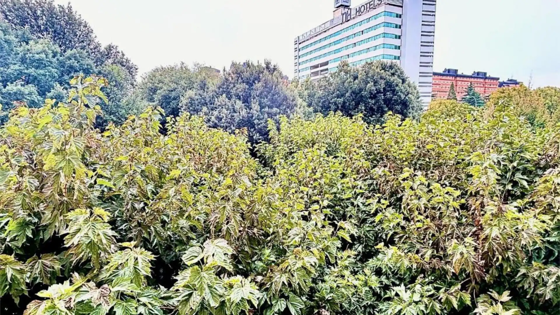 Piso en  Avenida de Sancho el Fuerte 38 - Foto 10