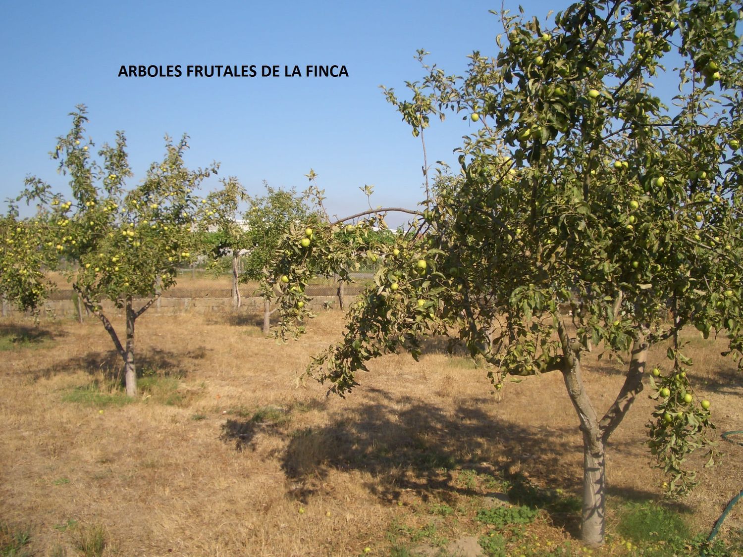 Casa rural en Estrada bordecha s/n - Foto 15