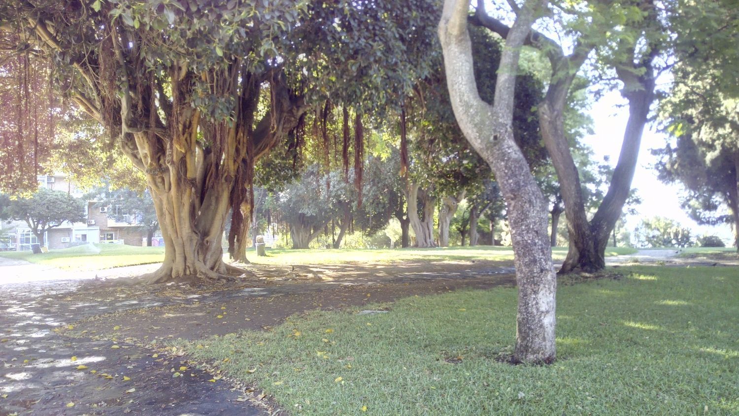 Estudio en Avenida Gamonal, 6, Parque de la Paloma, Parque de la Paloma - Foto 15