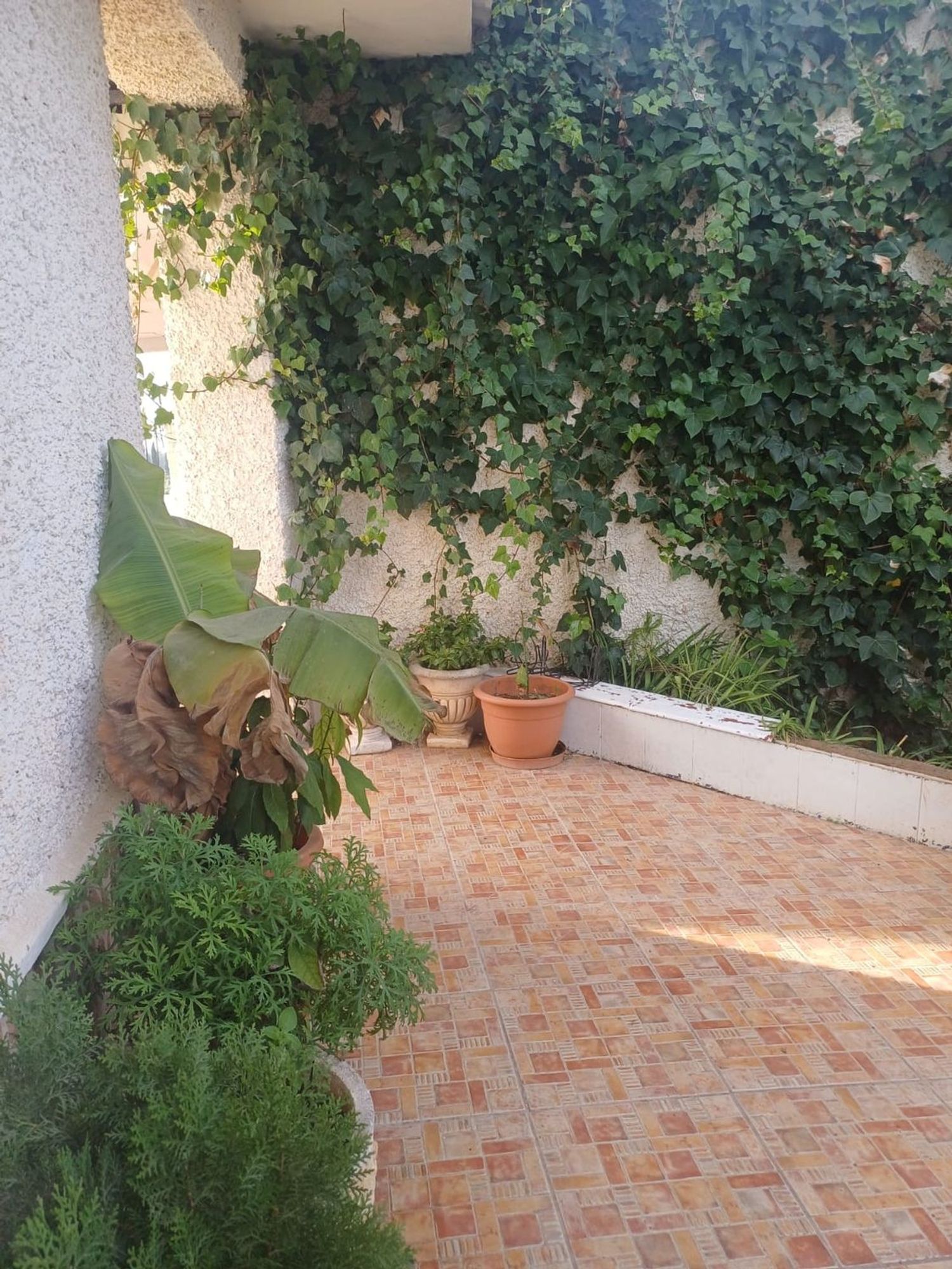 Casa independiente en Av vereda Real, 15 - Foto 2