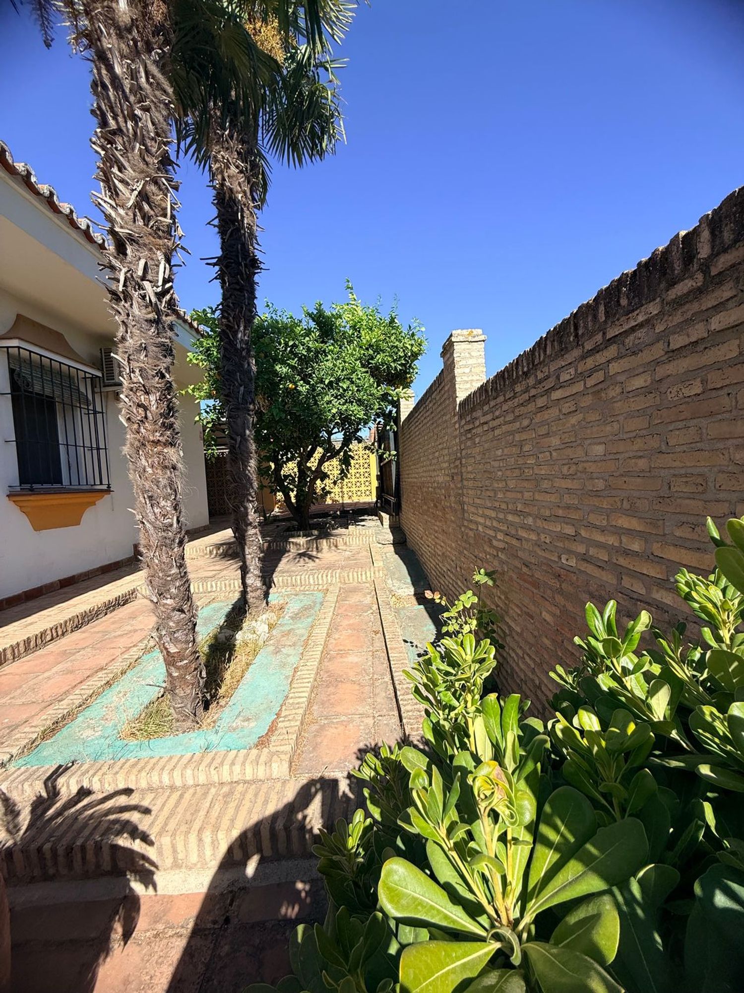 Casa o chalet independiente en Calle Antonio Rubio Herrera, 20 - Foto 4