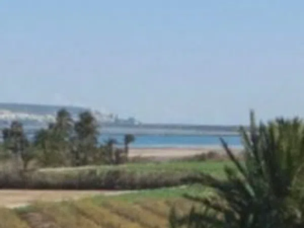 Casa rural en Cv-853, 2028, La Marina, La Marina - Foto 10