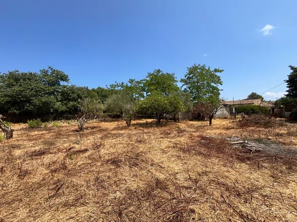 Finca rústica en Santuiri, 2 poligonoparcela, Pollença, Pollença - Foto 19