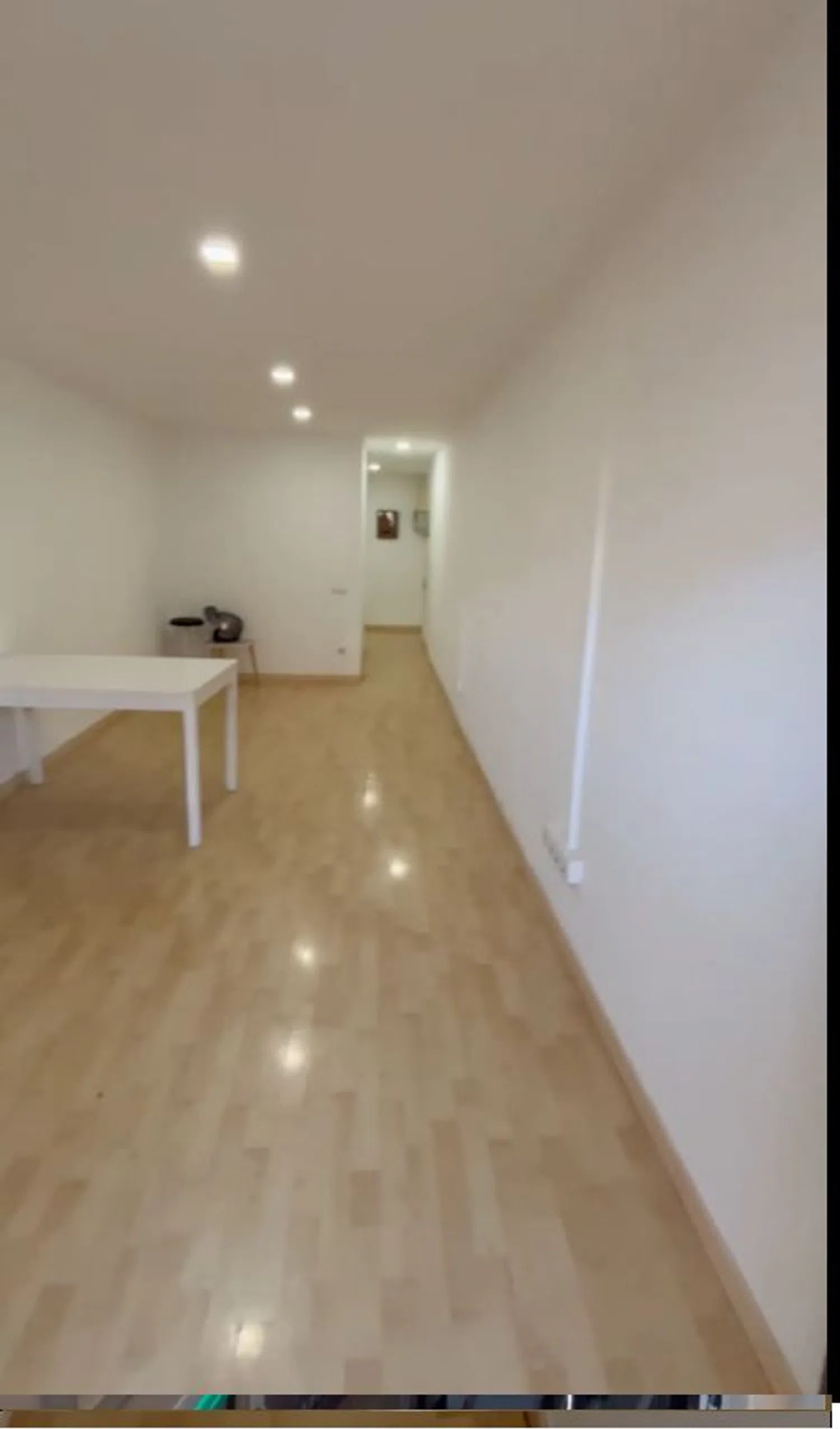 Estudio en calle d'En Roig, 17 - Foto 3