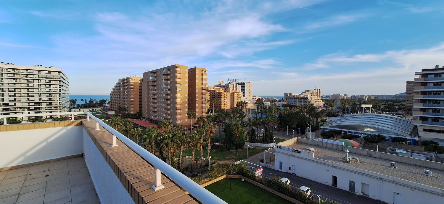 Ático en Avenida Jardín, 15, Marina Trebol - Neptuno - Foto 2