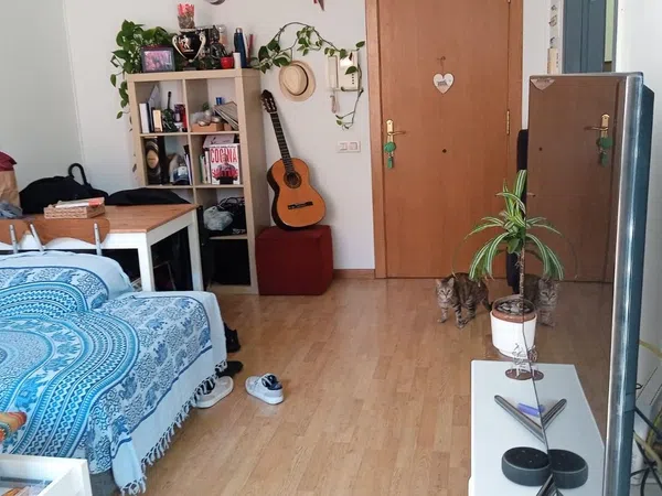 Estudio en calle Jaume Borràs, 26