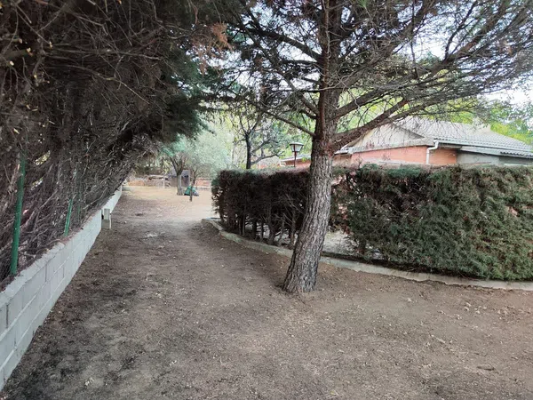 Casa o chalet independiente en Urbanización el Verdugal, 30 - Foto 17