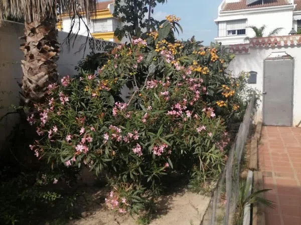 Chalet pareado en Calle Canoa, 8, Capellanía - Retamar, Capellanía - Retamar - Foto 16