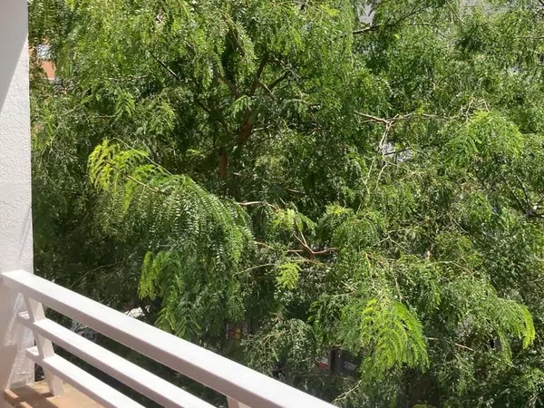 Piso en Avenida de Sant Ferran, 28, Son Dameto - Foto 20