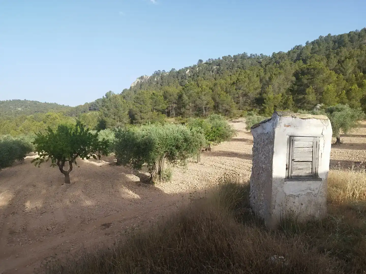 Finca rústica en - Foto 2