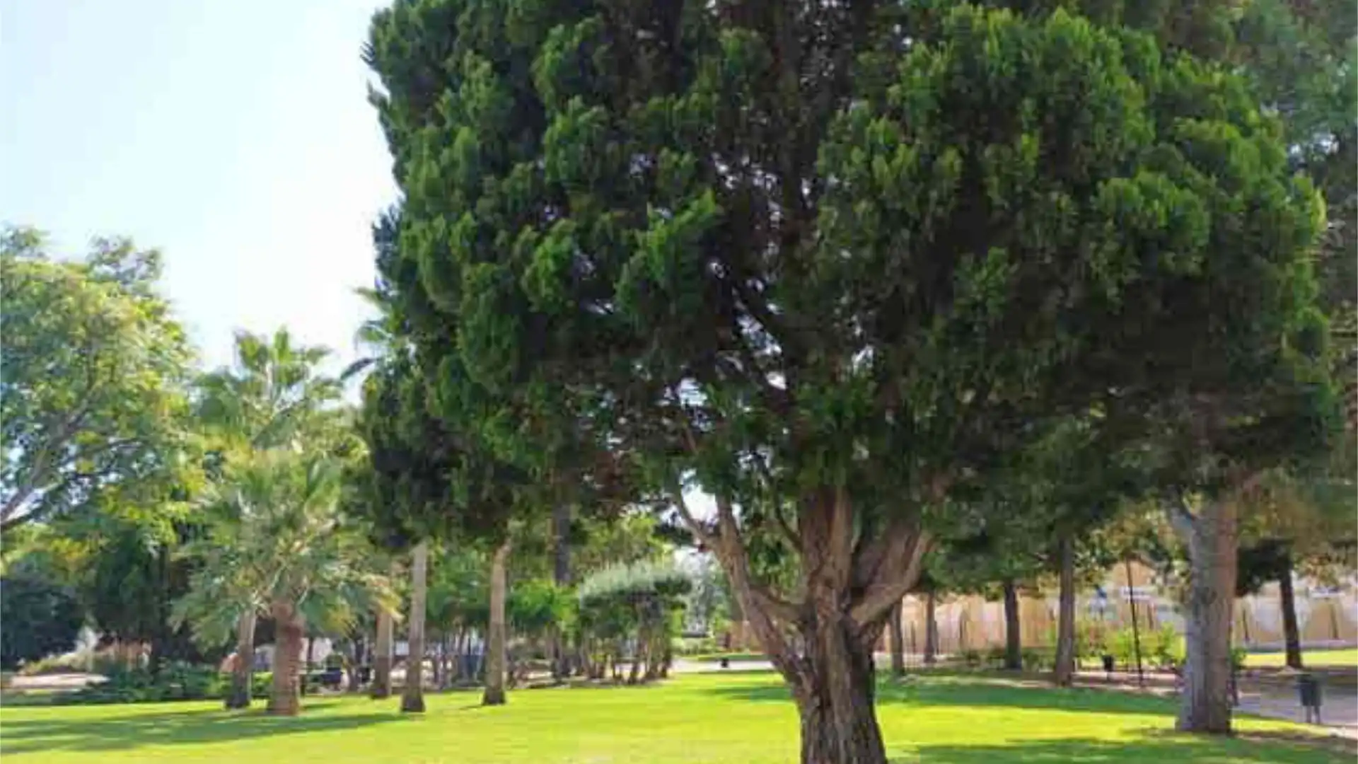 Piso en Parque Central Paterna - Foto 1