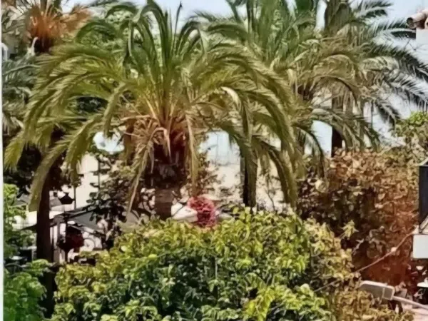 Estudio en plaza Ortiz, 5 - Foto 1