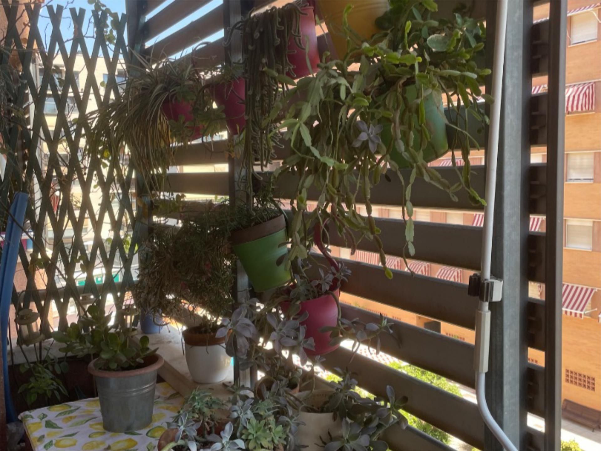 Piso en  Calle Periodista José María Carulla 8 - Foto 23