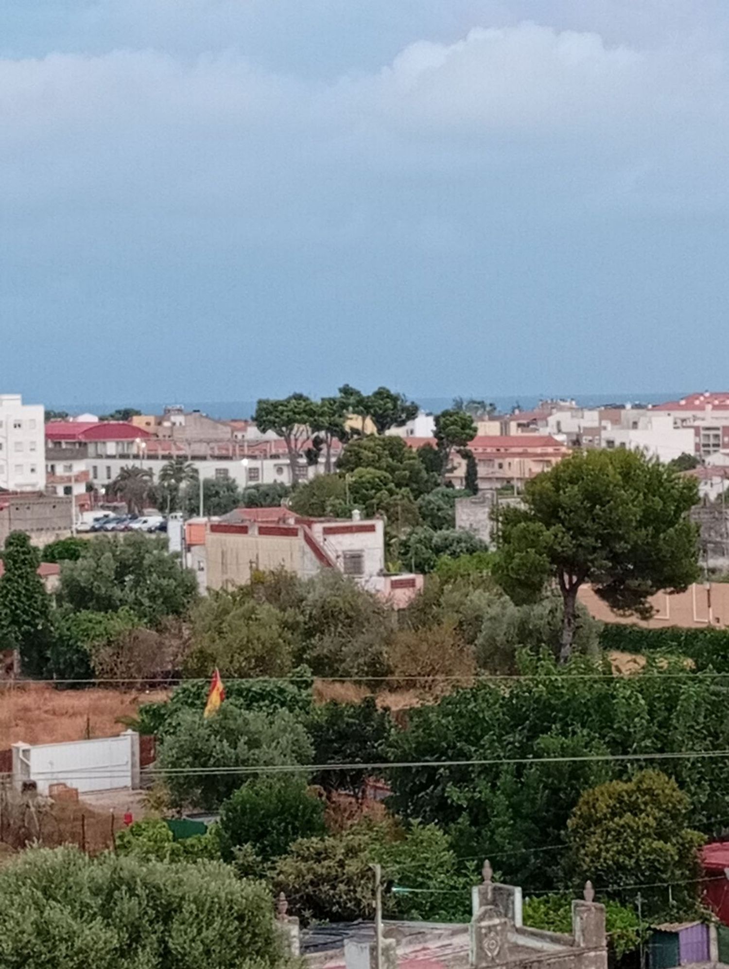 Estudio en Avenida de la Llibertat, 49, Zona Pueblo, Zona Pueblo - Foto 8