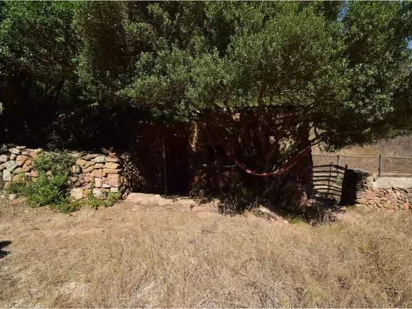 Finca rústica en Ferreries s/n - Foto 23