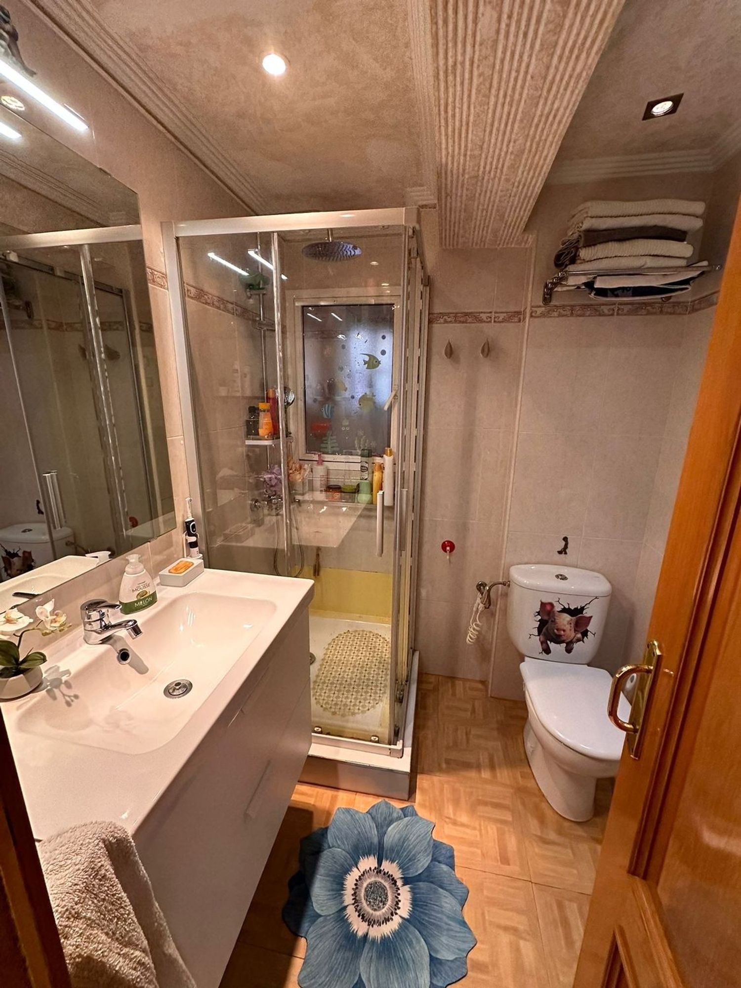Piso en Alonso Cano, 34, Carolinas Altas - Foto 13