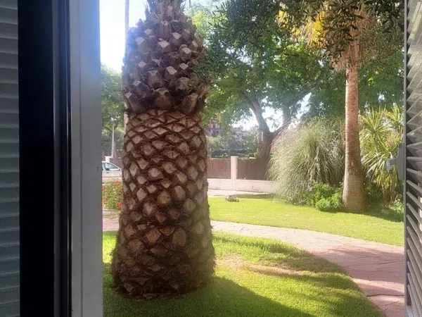 Piso en Avenida Nuevo Oasis del sur 2, 2 - Foto 22