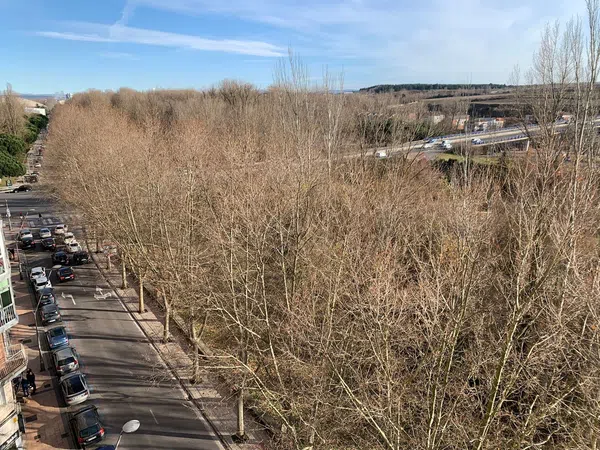 Piso en Avenida del Arlanzón, 38, Villa Pilar - Foto 38