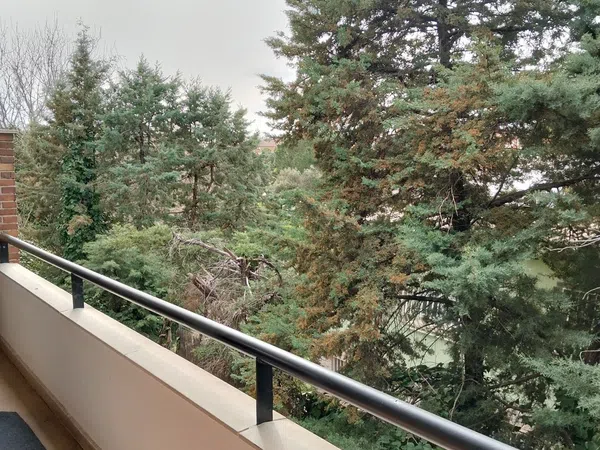 Dúplex en Urb. la raya del palancar Raya del Palancar - Guadamonte - Foto 12