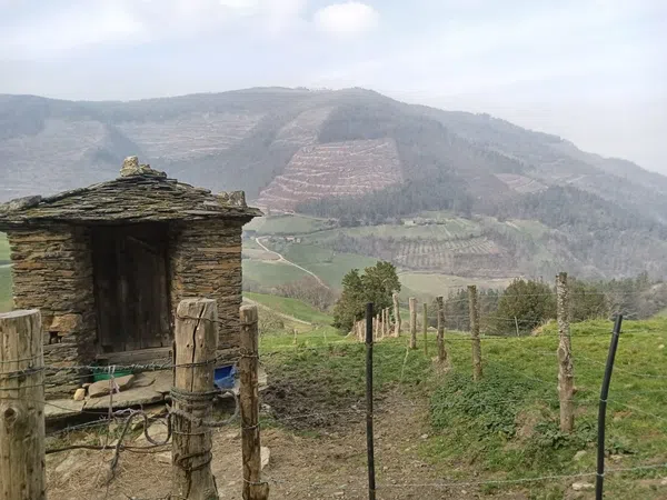 Casa de pueblo en Molejon s/n - Foto 6