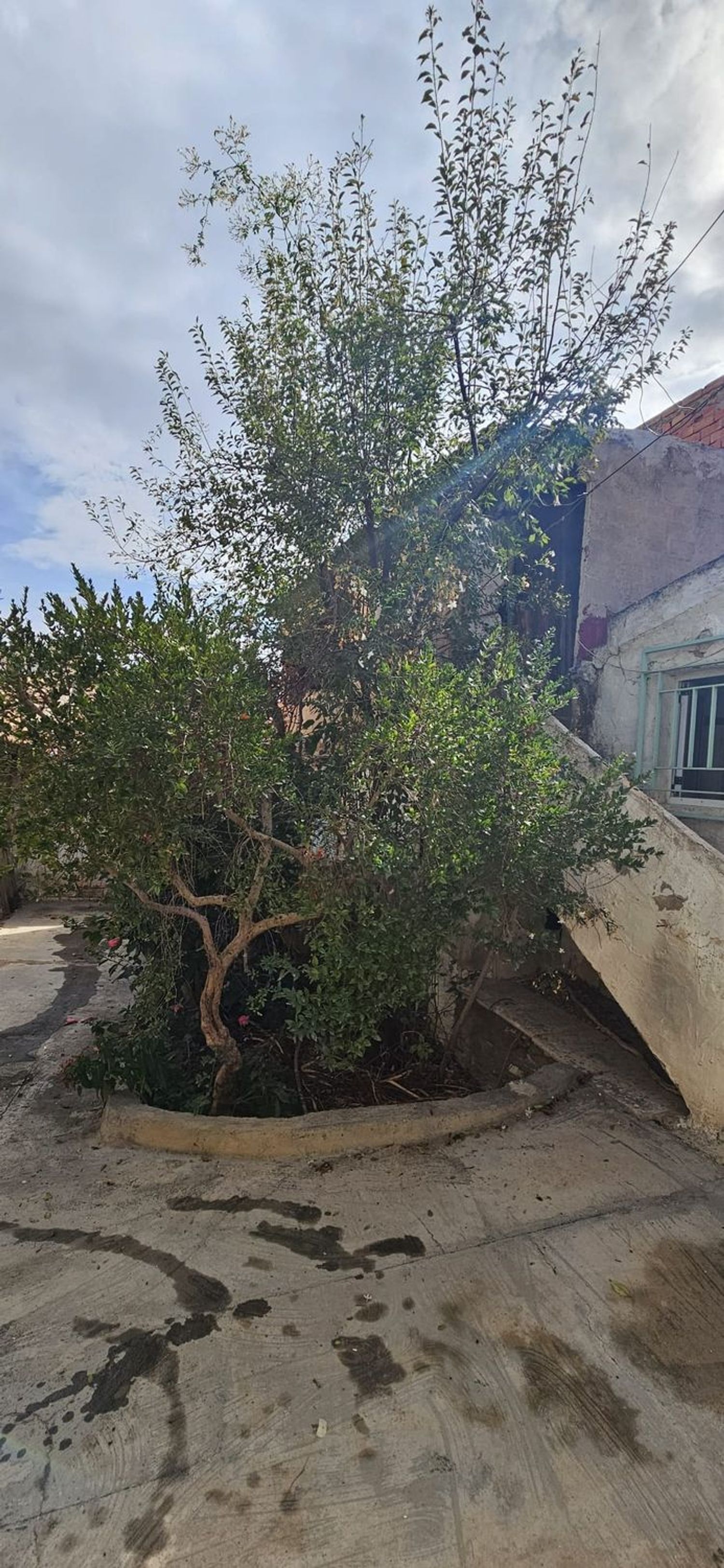Chalet adosado en Javalí Nuevo, Javalí Nuevo - Foto 16