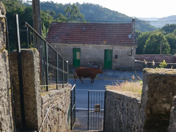 Casa rural en A Lama s/n - Foto 13