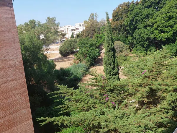 Piso en Calle Ruy López, 60, Camino de Antequera - Foto 11