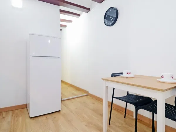 Estudio en Calle de Torres i Amat, El Raval - Foto 14