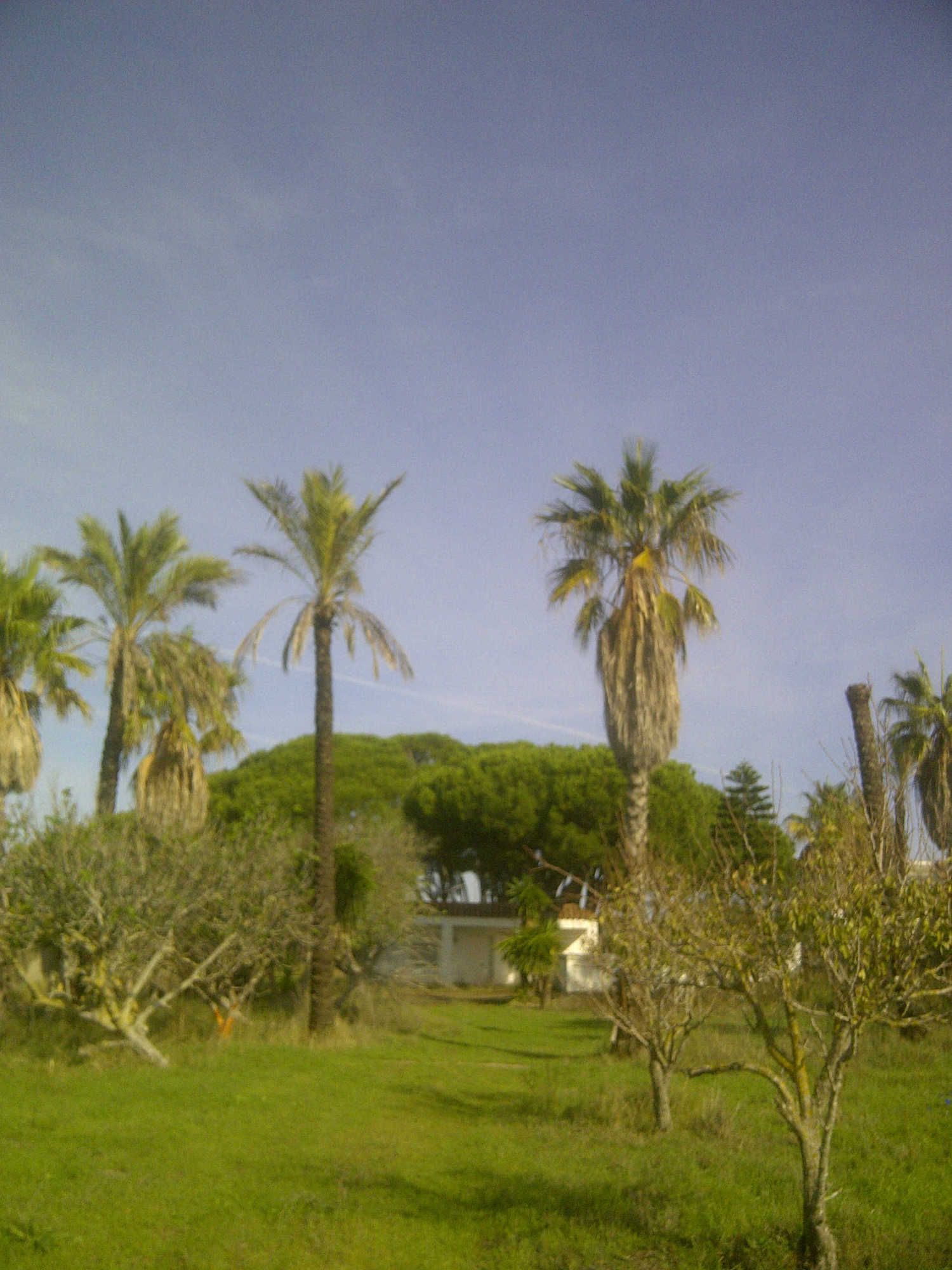 Casa independiente en calle Ceuta s/n - Foto 3