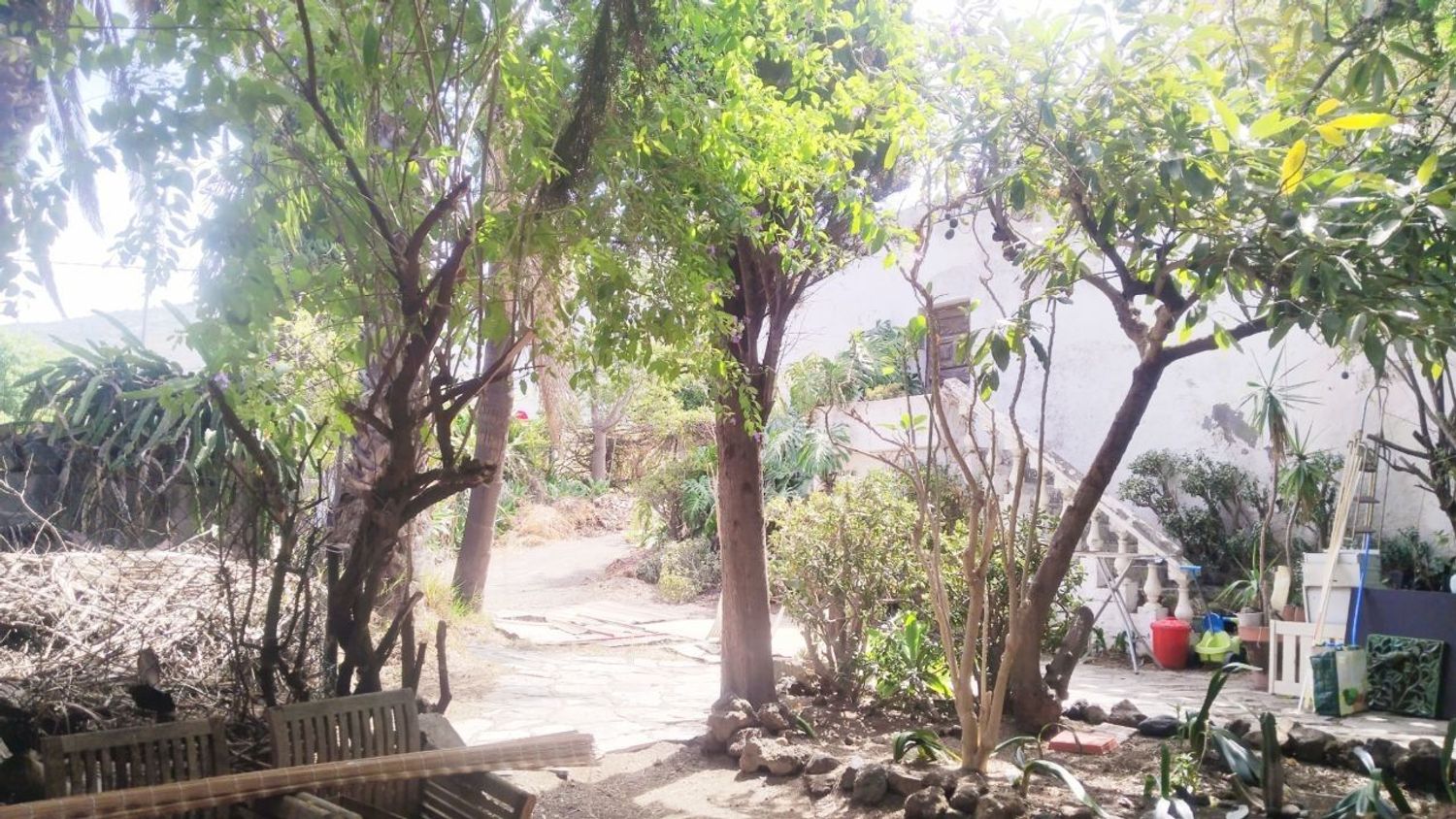 Finca rústica en Carretera Enlace el Ramal, 18 L, Centro, Centro - Foto 2