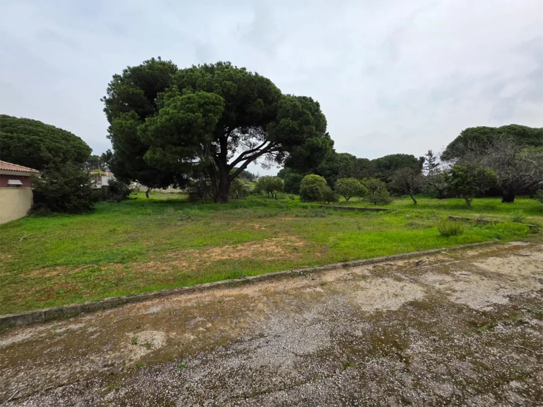 Finca rústica en  Camino del Guadalmesí 9 - Foto 23