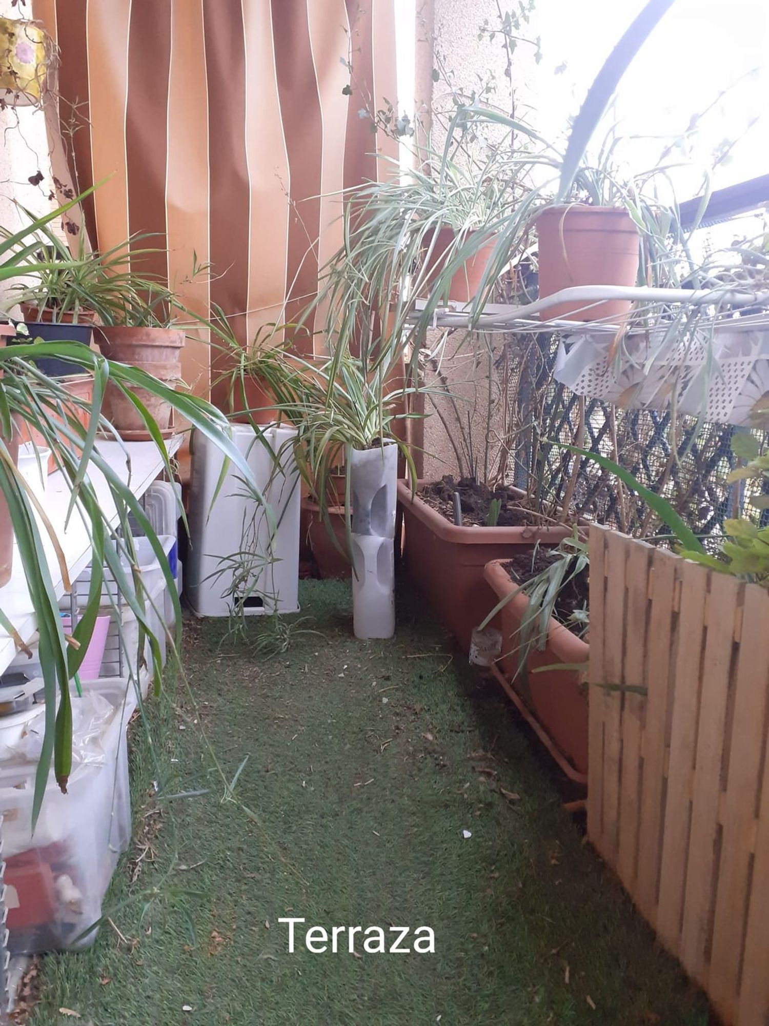 Piso en Cervantes-Palacio de Deportes - Foto 10