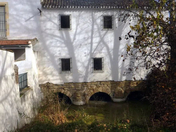 Cortijo en Calle Molino, 1 - Foto 4