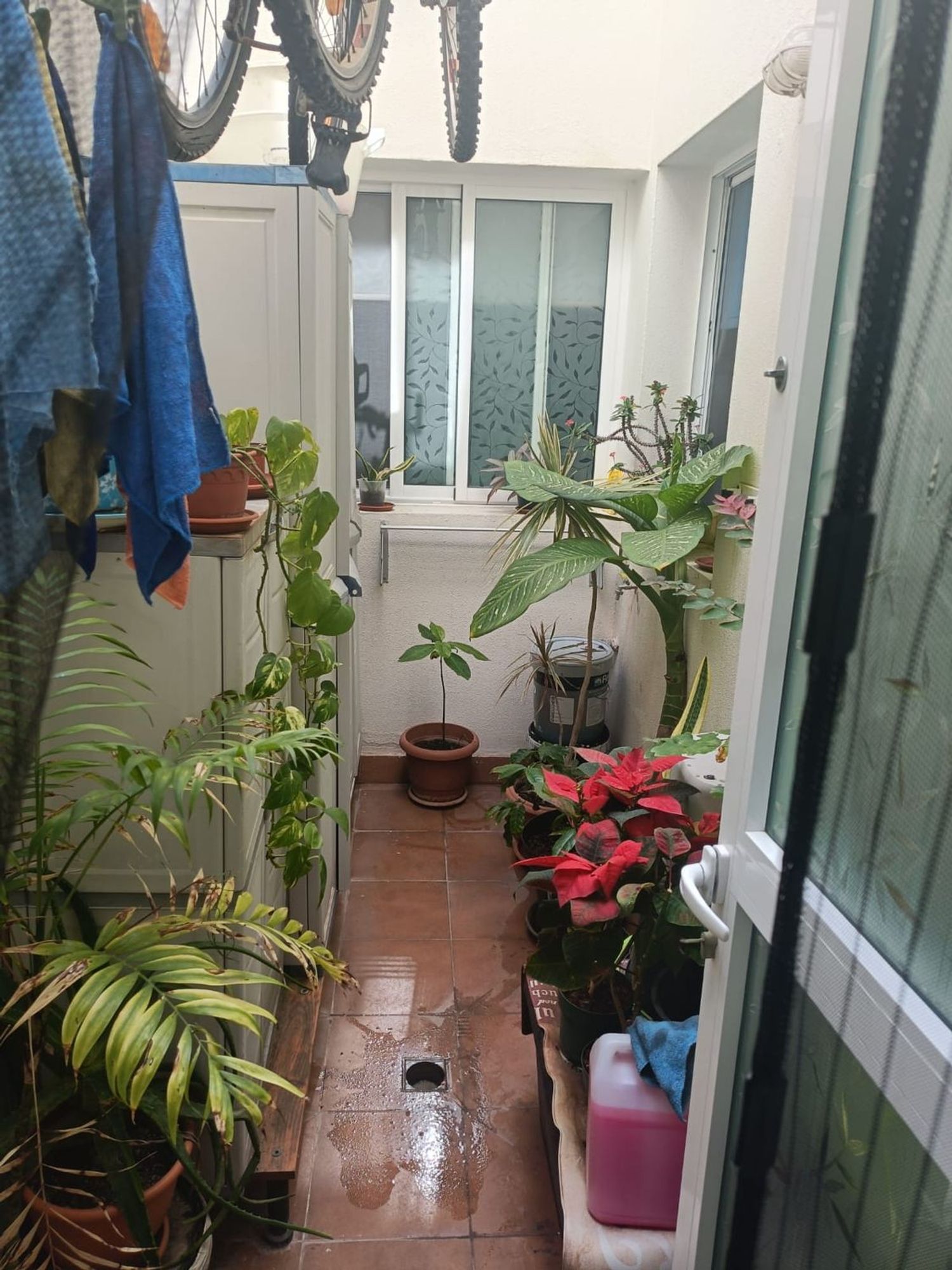 Piso en Calle Manuel Galván Rodríguez, 46, Casa Ayala - Costa Ayala - Foto 20
