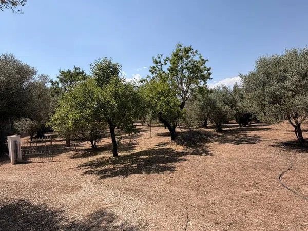 Finca rústica en poligono 9 parcela, 32 - Foto 28